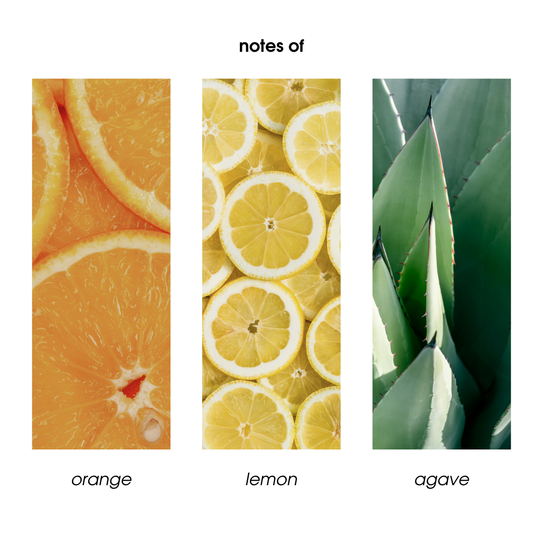 Citrus Agave Candle